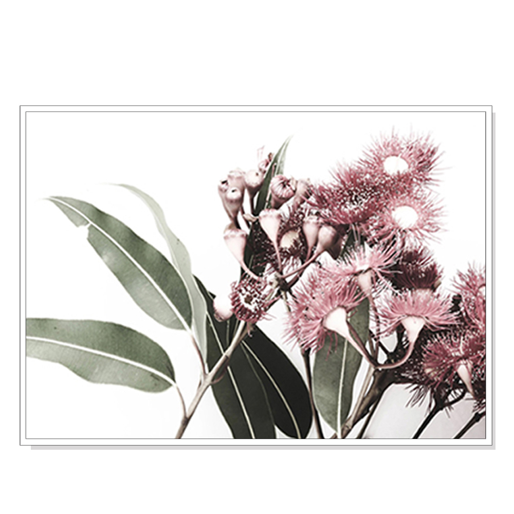 V207-1083_Eucalyptus-in-Bloom-white_1 Wall Art 60cmx90cm Eucalyptus in Bloom White Frame Canvas - Image 1