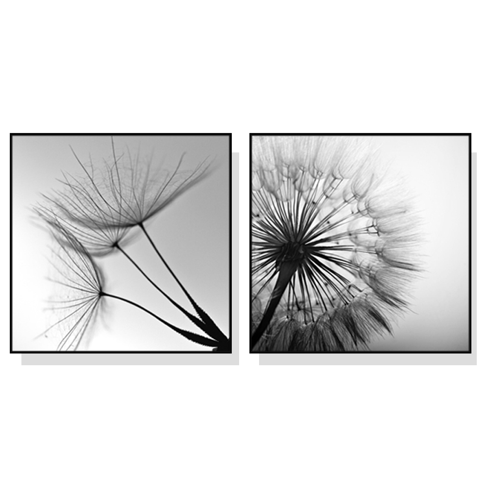 V207-1451-1-145857-00 Wall Art 40cmx40cm Black and white dandelion 2 Sets Black Frame Canvas - Image 1