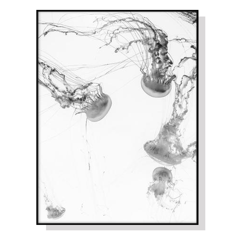 V207-1685-73380-00 Wall Art 60cmx90cm Jellyfish Black Frame Canvas - Image 1