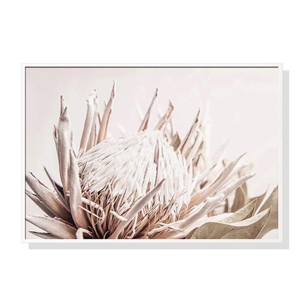 V207-1698-75057-00 Wall Art 70cmx100cm Pure Protea II White Frame Canvas - Image 1