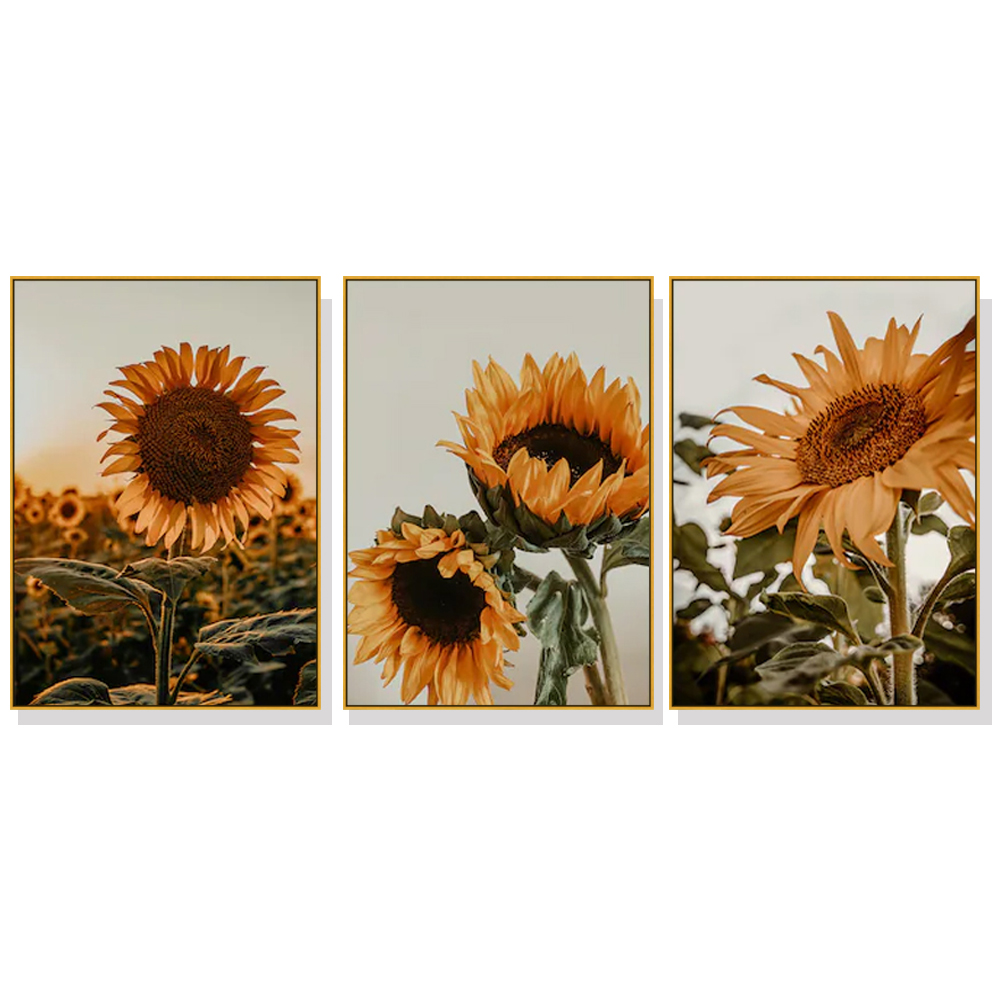 V207-20461-97613-00 Wall Art 70cmx100cm Sunflower 3 Sets Gold Frame Canvas - Image 1