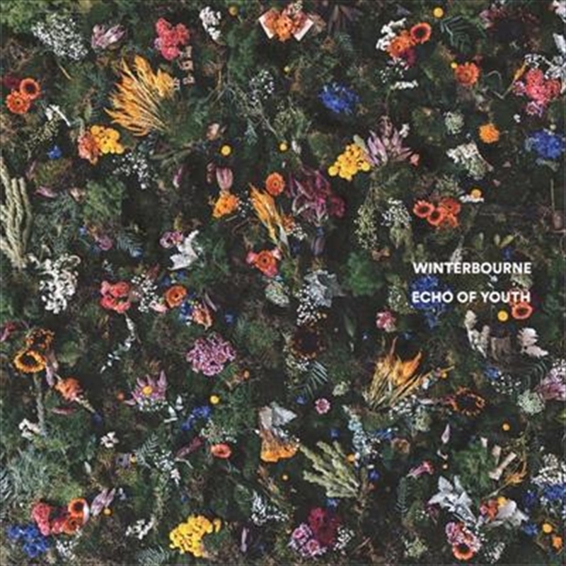 V210-2421554-202502241245-00 Echo Of Youth - Winterbourne Cd Album - Image 1