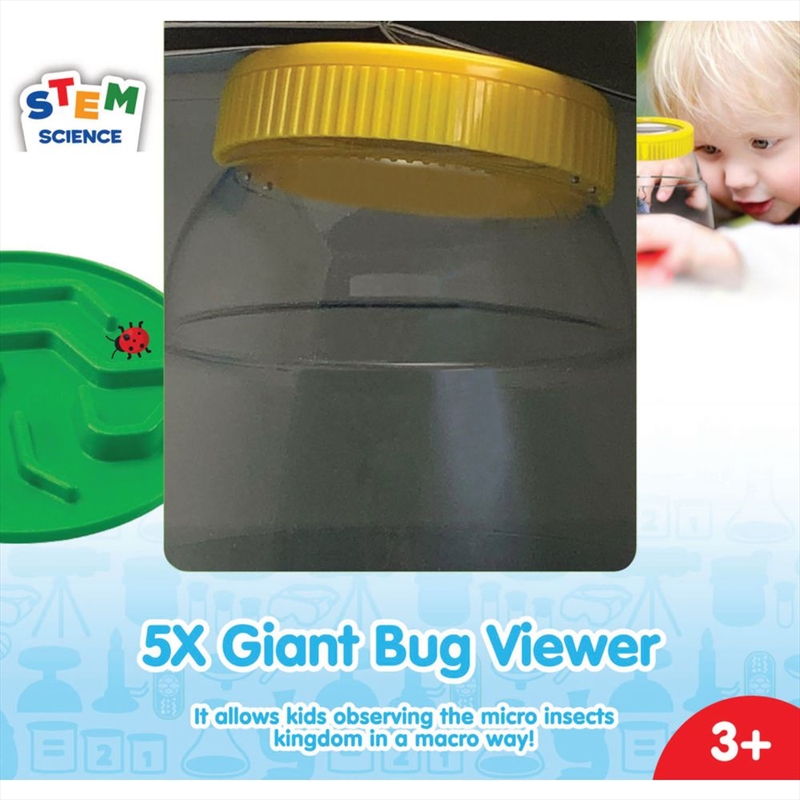 V210-2456130-69930-00 My First Giant Bug Viewer - Fandex - Image 1