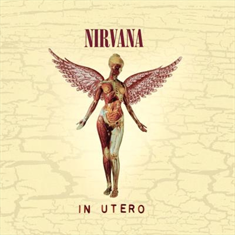 V210-2861328-202507030805-00 In Utero - 30Th Anniversary - Nirvana Cd Album - Image 1