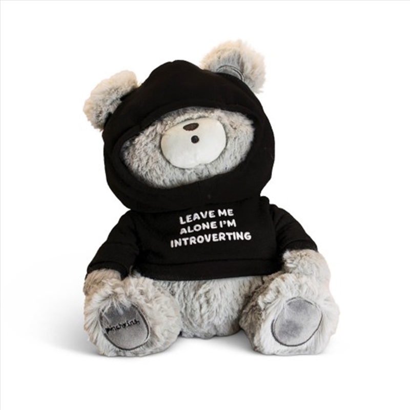 V210-2870037-202503071741-00 Punchkins Introverted - Teddy Bear Plush - Image 1