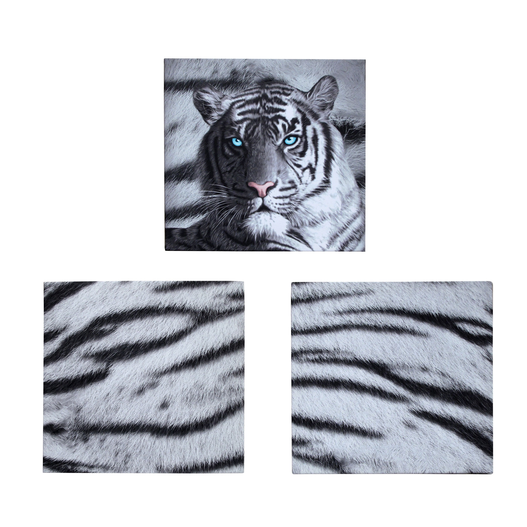 V442-LDE-MISC-BLUEEYESSTRIPES-BLACK-SQ-77909-00 Just Home Set of 3 Printed Blue Eyes Stripes Tiger Wall Canvas - Image 1