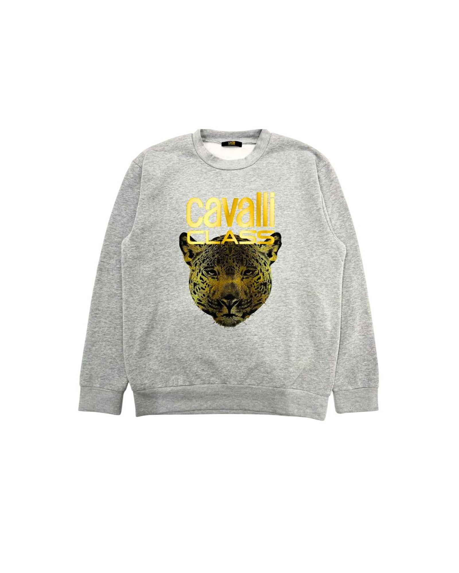 V539-CA-24779-S-202506160731-00 Cavalli Class Men's Gray Polyester Sweater - S - Image 1