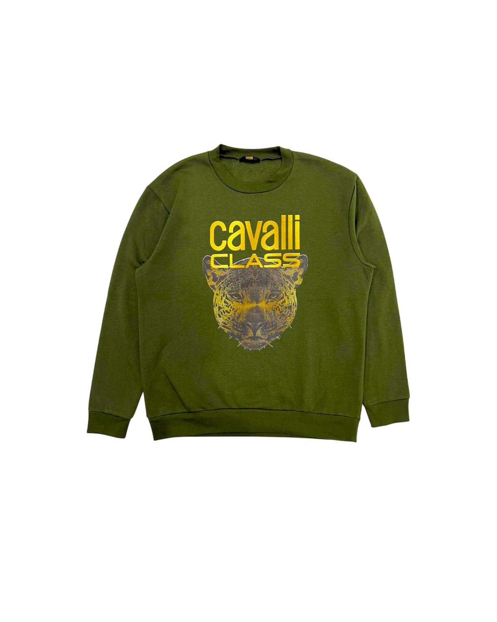 V539-CA-24780-M-202506160731-00 Cavalli Class Men's Green Polyester Sweater - M - Image 1