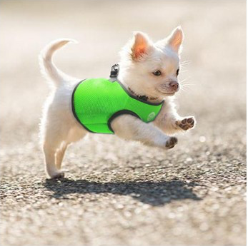 V631-MDPVESTXLBLK-186076-00 Vest Harness Pet Dog-Cat Step-in Velcro and Buckle Attachments - Moondidley Pets X-Large Black - Image 1