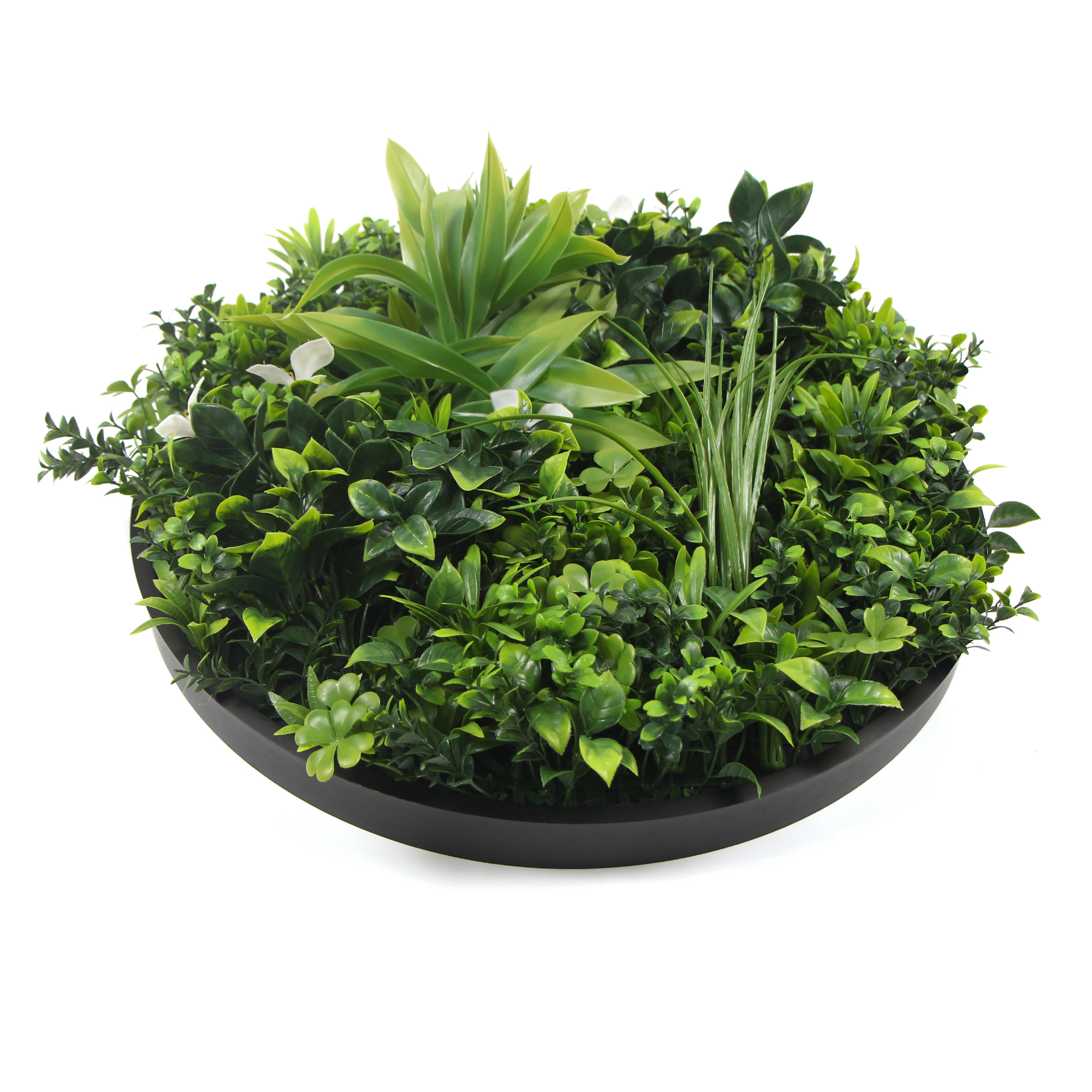 V77-8880024_8880024_1_1 Flowering White Artificial Green Wall Disc UV Resistant 100cm (Black Frame) - Image 1