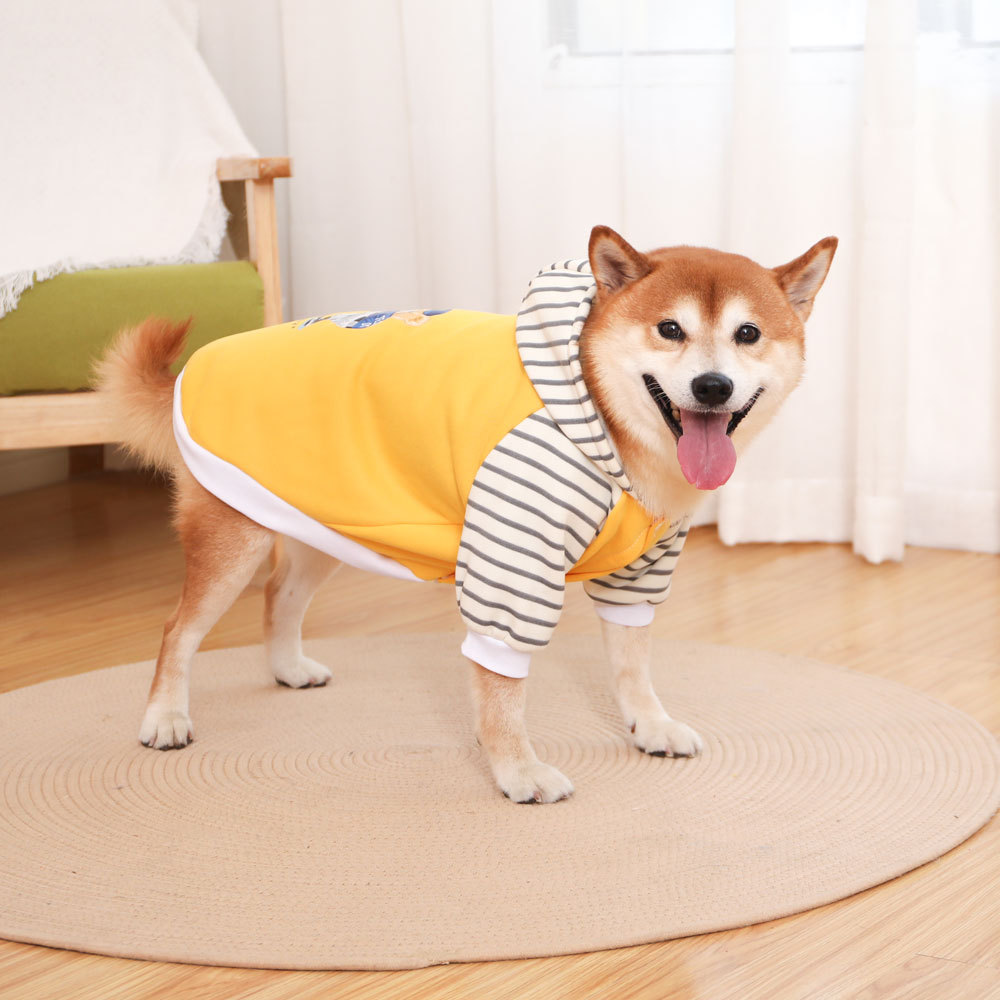 V888-ELOSUNG31074-202505231137-00 Autumn/Winter Dog Clothes - Yellow Hoodie with Striped Hood & Baseball Bear (Size - S) - Image 1