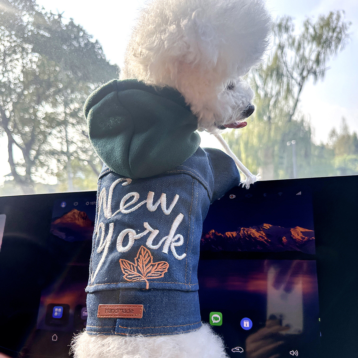 V888-ELOSUNG33106-202505301136-00 M Around 8kg New York Denim Chic Denim Pet Vest - Stylish Jean Jacket for Dogs & Cats - Spring, Summer & Autumn Fashion - Image 1