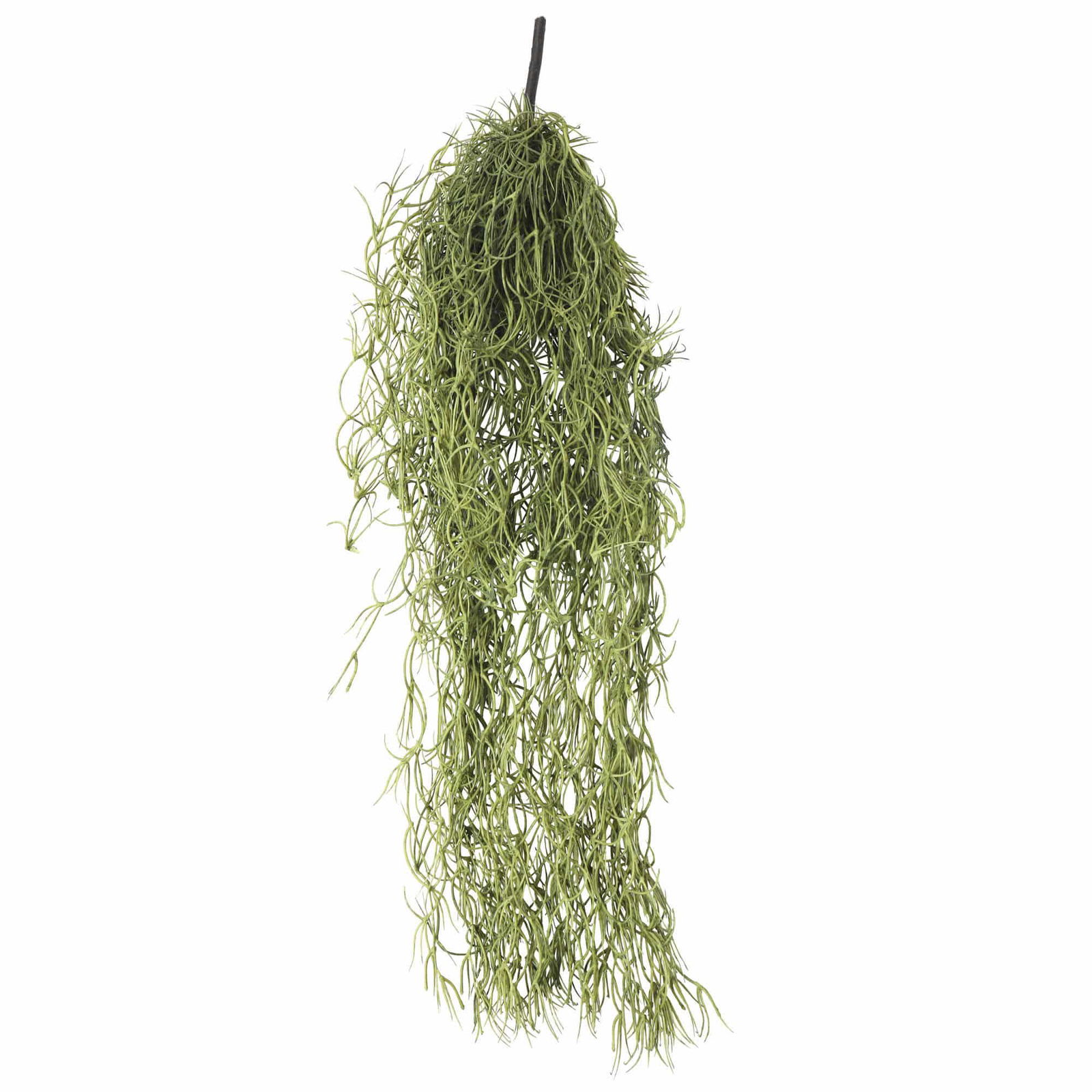 V637-1097763-202508251355-00 Artificial Air Plant / Spanish Moss (Old Man Beard) 60cm - Image 1