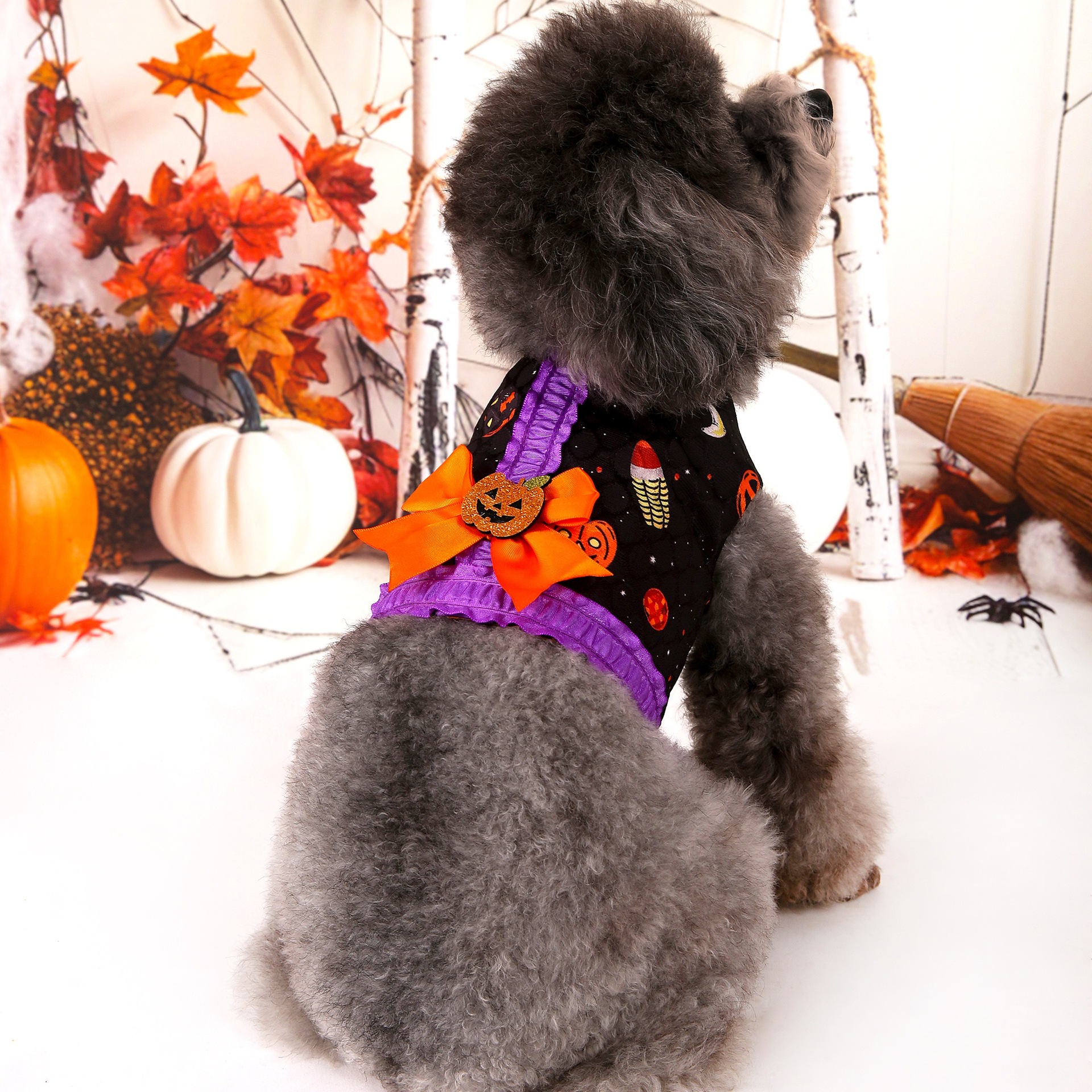 V888-ELOSUNG33892-202509091720-00 M Halloween Pumpkin Dog Harness Dress - Festive Costume Vest with Leash Ring for Small Dogs - Image 1